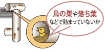 鳥の巣や落ち葉などで詰まっていないか