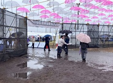 11/8、9 さがみはらフェスタ2025　サンプリング